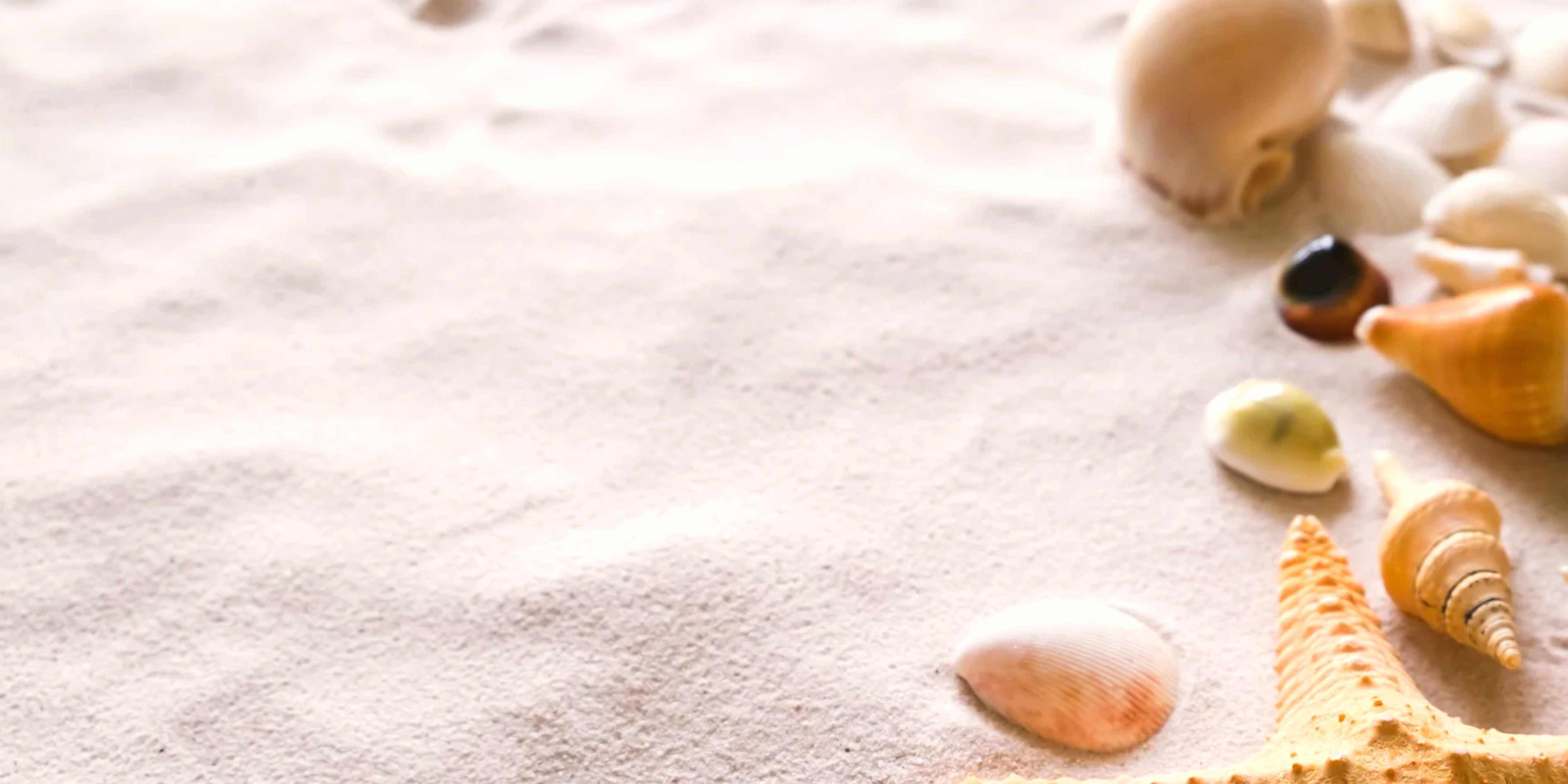 new fashion summer sale